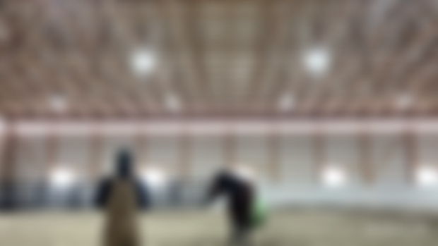 Fun exercise to play with your horses brain, especially during winter time. 