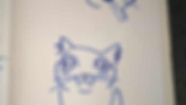 Sherman Cat
