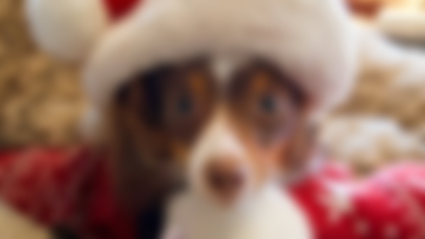 Patreon Exclusive Christmas Album