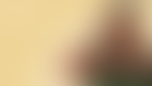 Reindeer Scape - Full Animation