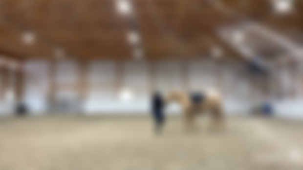 When your horse is ‘present’ or ‘aware’, they can truly show you their discomforts