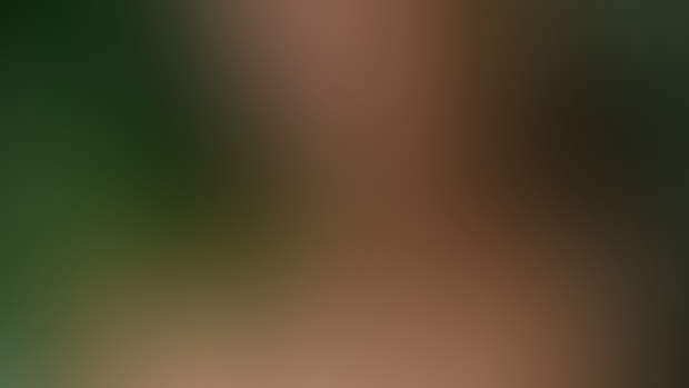 Photos from a Quiet Place