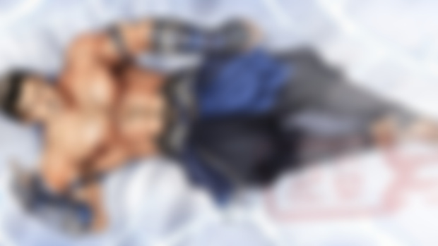 Sub Zero Bi Han (naked) Dakimakura