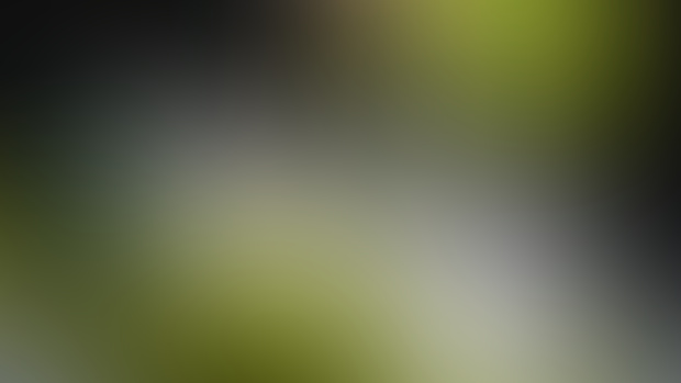 unamed green bonkle