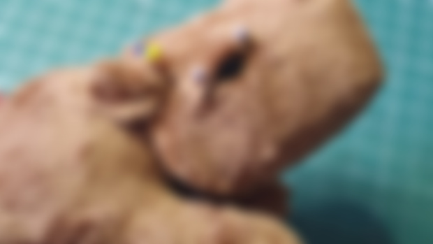 Capybara pattern