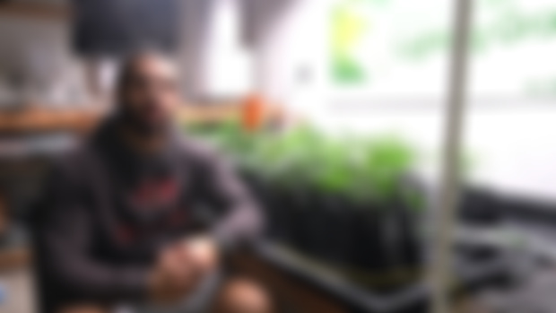 How I Automate my Grow Space