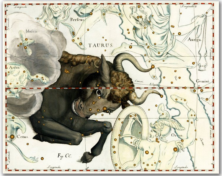 Johannes Hevelius. "Телец" Звёздный атлас, 1690 год