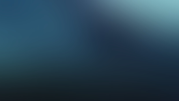 Whale from Within