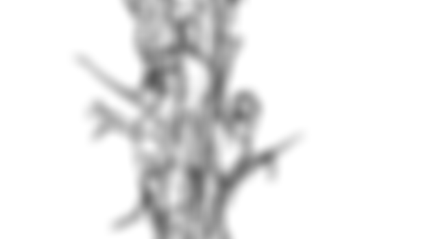 The Union Tree