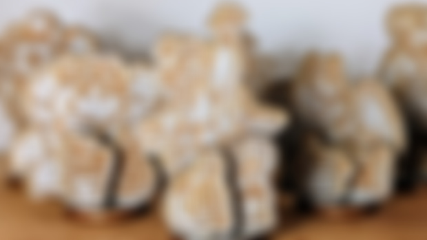 Preview of Cafe Goodies!