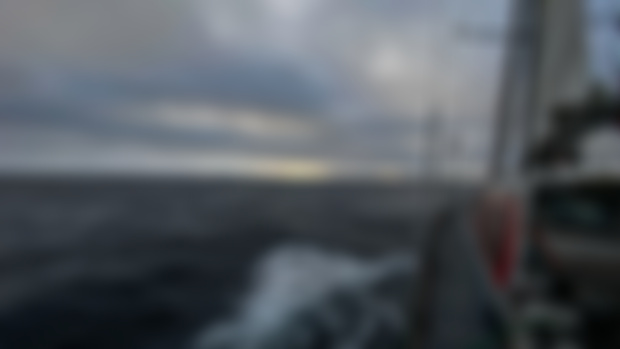 VINSON OF ANTARCITCA - ZAVODOVSKI EXPEDITION FINAL