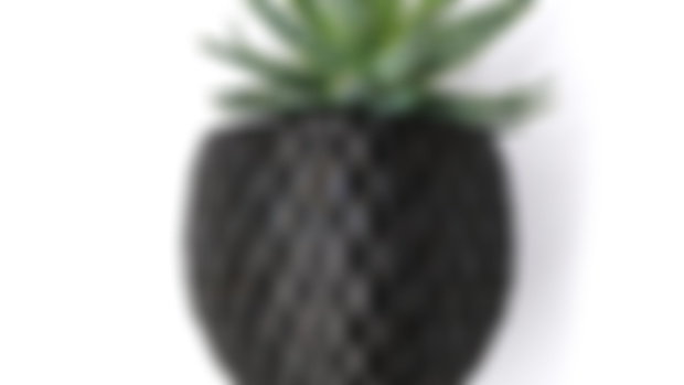 Wall Planter "Blossomscale" -Dragon Egg Planter - Early Access