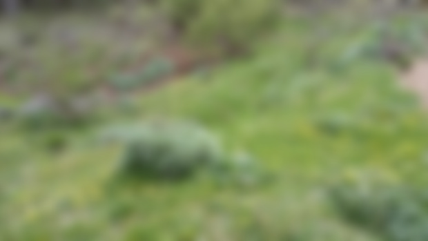 Corredores o pasillos naturales.
