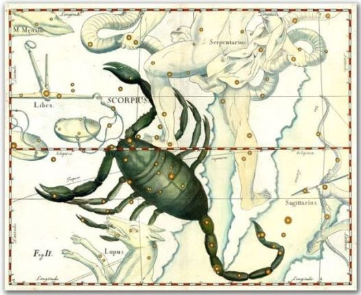 Johannes Hevelius. «Скорпион». Звёздный атлас, 1690 год