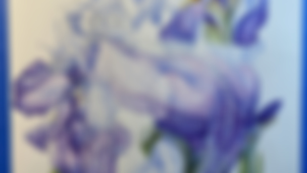 Iris Dragon update