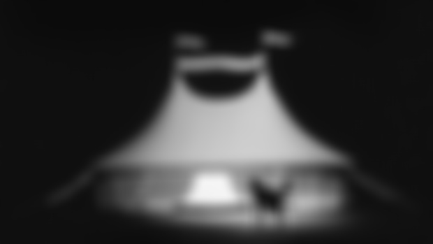  January 2024: Circus with a wolf in it, branching paths, visual refresh