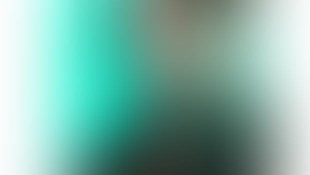 060220241