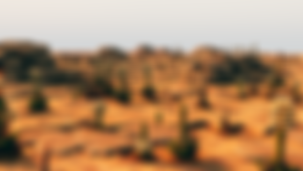 High Desert Biome Houdini Scene