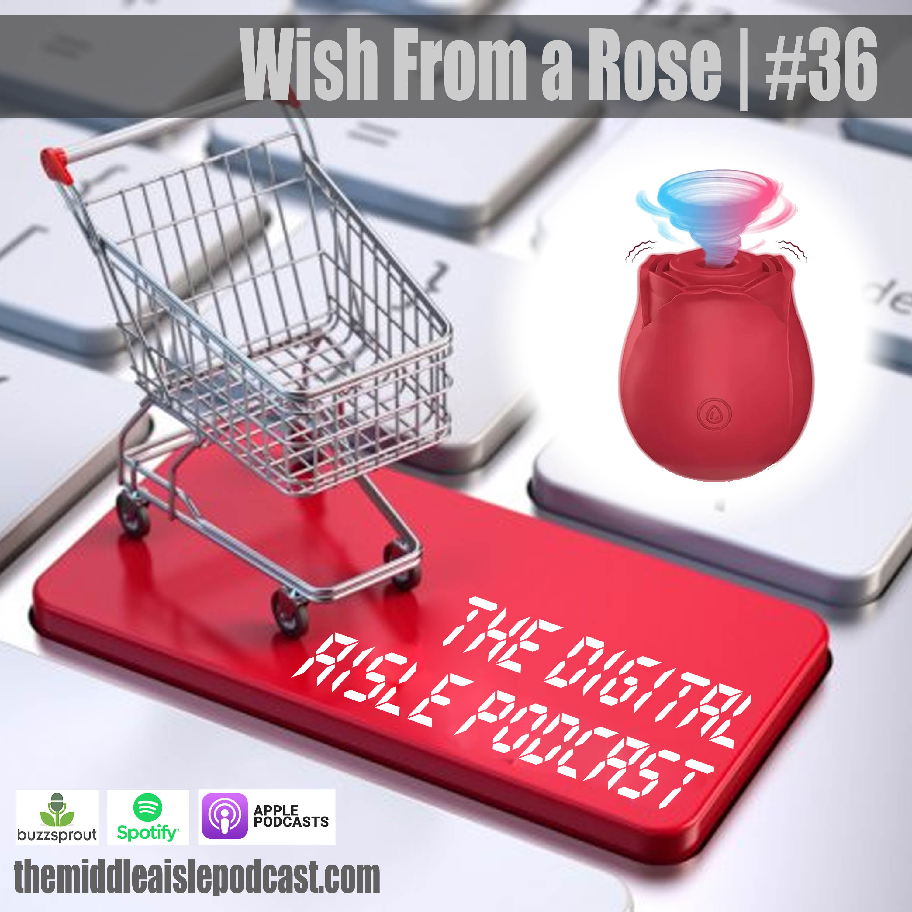 Wish From a Rose | The Digital Aisle #36 episode artwork