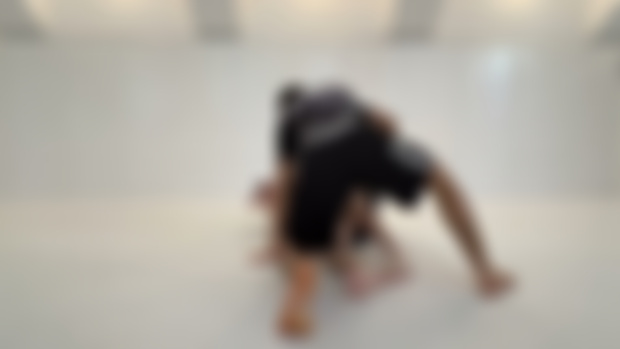 Side control & mount escapes 8
