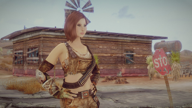 FNV body and armors progress