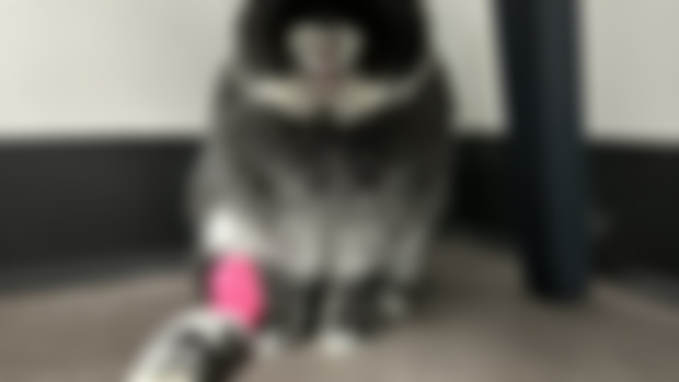 Bobupdate 