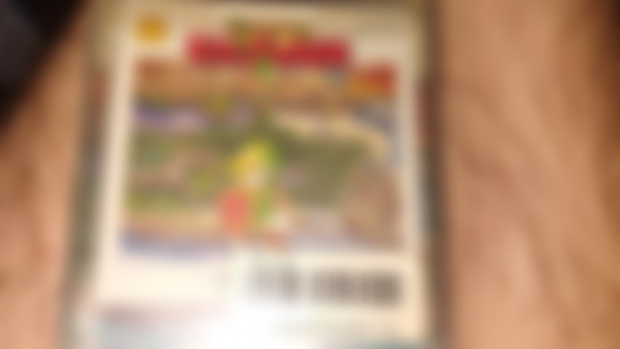 Hyrule Fantasy has arrived!