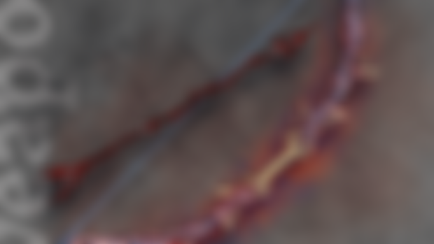 Item | Blood Huntress' Bow
