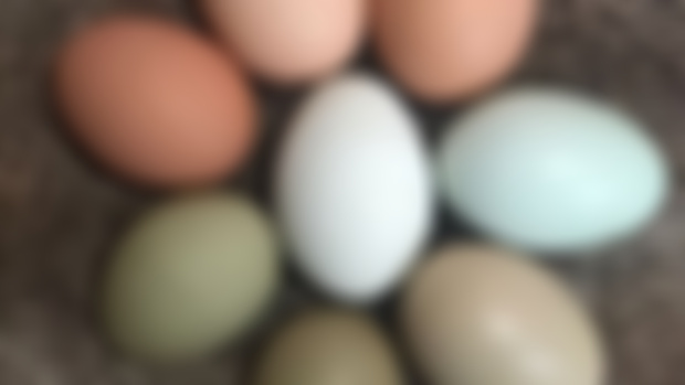 Hoy la cosa no va de ovillos, va de huevos