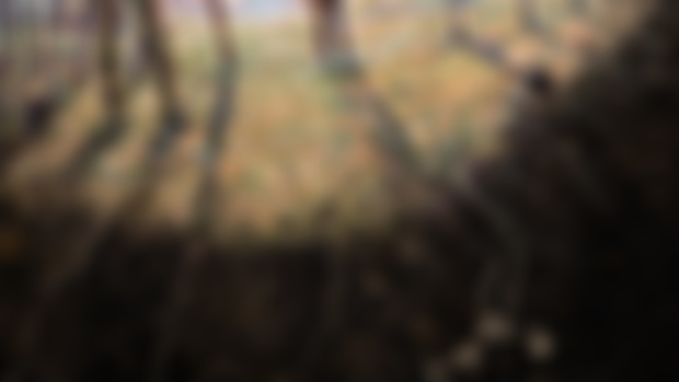 Release #70: A short film and a music video