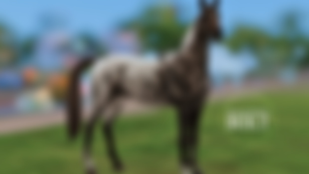 Donnerhall´s Bolt - DOWNLOAD