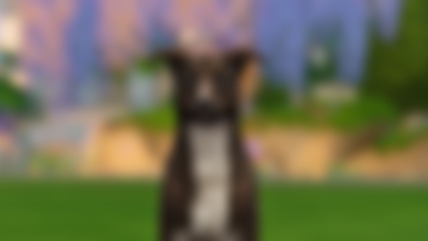 Mutt Wanda - DOWNLOAD