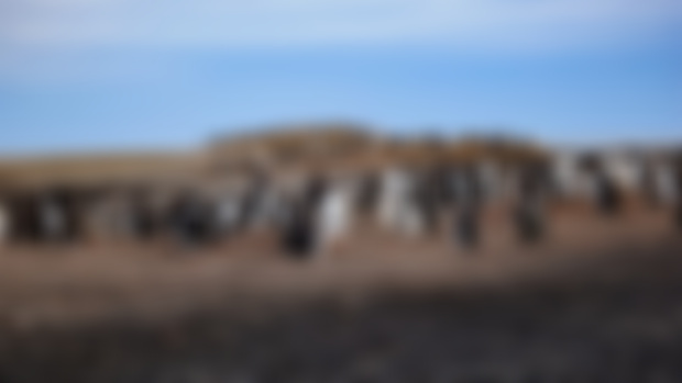 Wallpaper Januar 2024