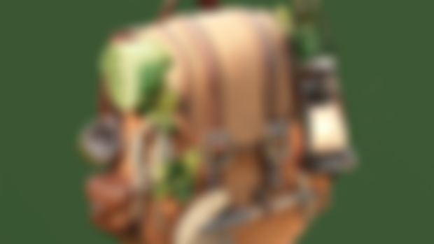 Adventurer Backpack!