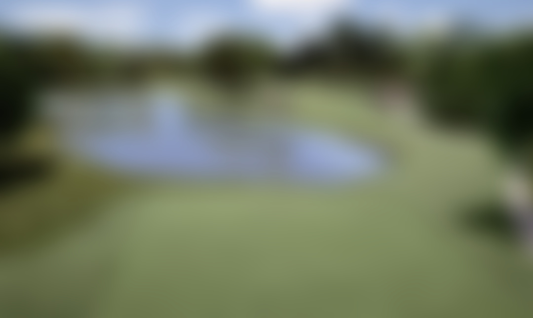 Forest Hills Resort