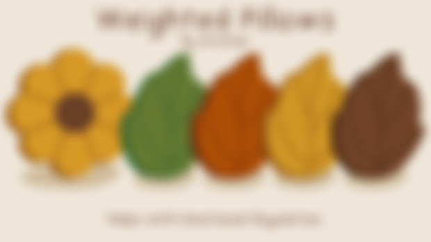 Secret Project Reveal!