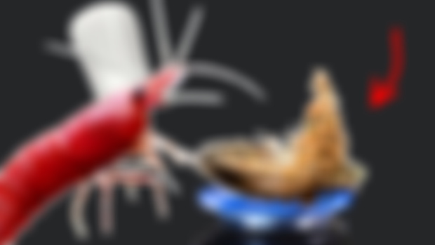 Restructuring Patreon!