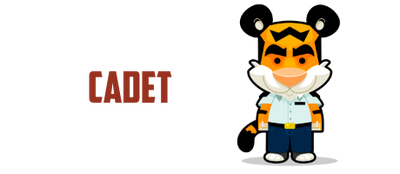 reward item