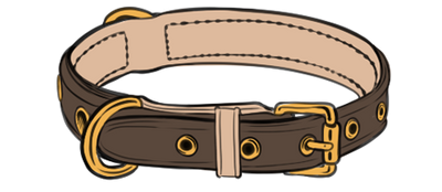 reward item