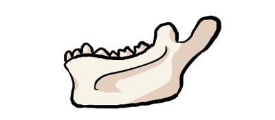 reward item