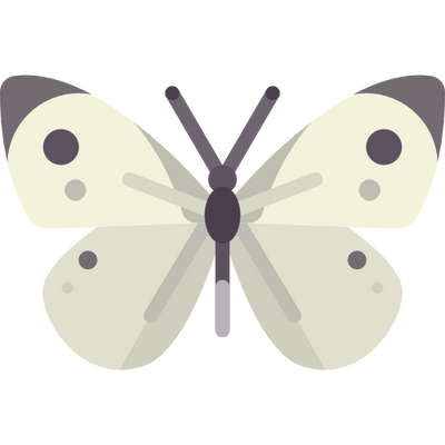 reward item