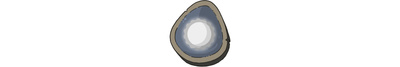 reward item
