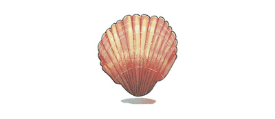 reward item
