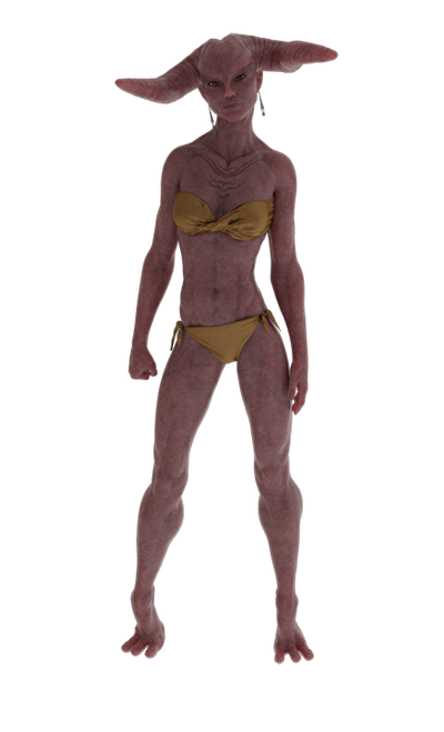 reward item