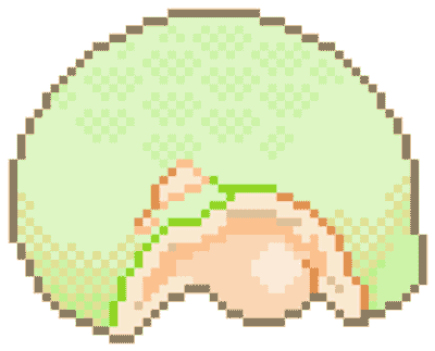 reward item