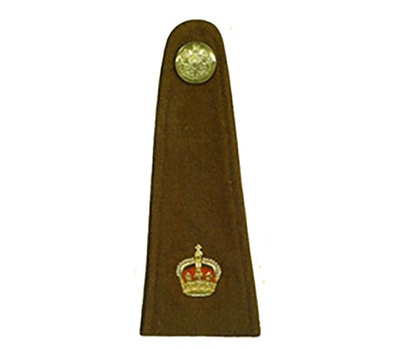 reward item