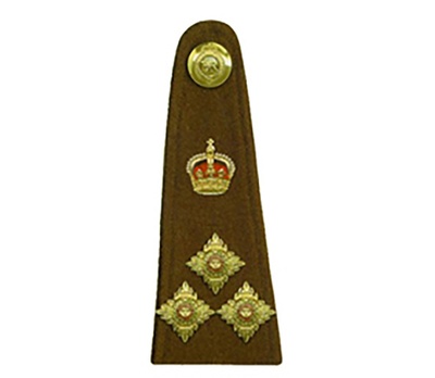 reward item