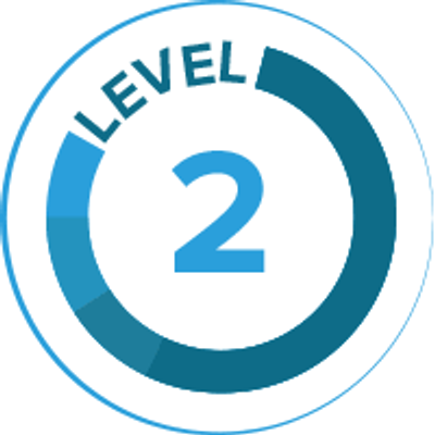 Уровень 1.3. Level 2. Пиктограмма уровень. Уровень а2. Значок уровня.