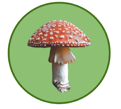 reward item