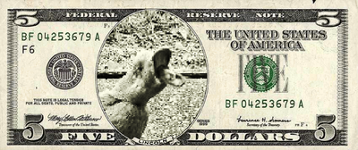 reward item
